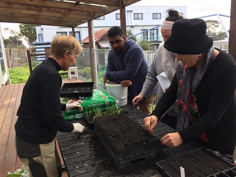 People learning about planting
